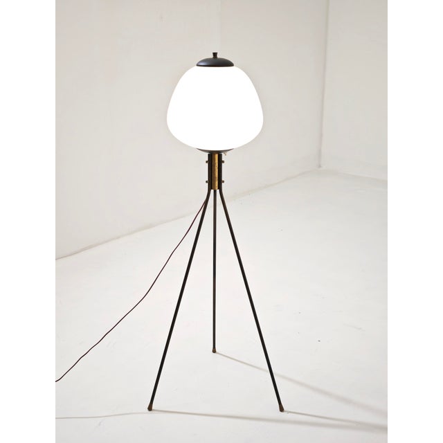 1950s Mid-Century Modern Tripod Floor Lamp in Brass and Opaline Glass, Italy, 1960 For Sale - Image 5 of 14