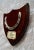 A Superb winner's horseshoe plaque belonging to the winning horse ‘Fiver’. Dated 1925. The horseshoe is mounted on an oak...