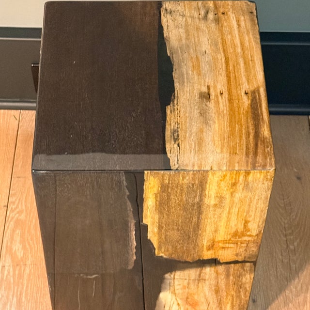 Made Goods Teo Mix Petrified Wood Stool or Side Table A striking juxtaposition of dark and light petrified wood. Use as a...