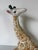 Brown 1980s Vintage Hand-Painted Ceramic Giraffe Sculpture For Sale - Image 8 of 12