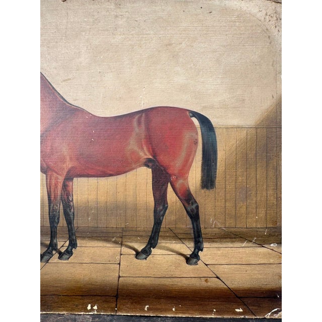 Bay Horse in a Stable, 1900s, Oil Painting on Board For Sale - Image 5 of 7