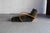 1980s Casablanca Lounge Chair from Jamie Tresserra, 1987 For Sale - Image 5 of 18