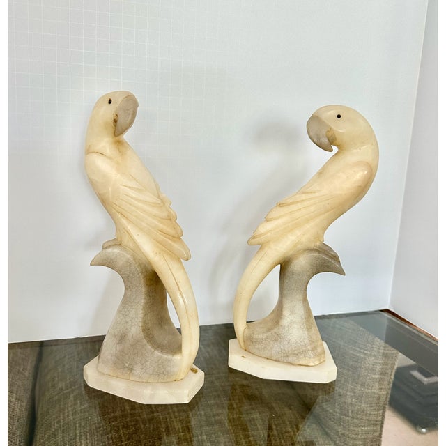 Pair Italian Alabaster Parrot Bird Sculptures - Mid Century For Sale In Palm Springs - Image 6 of 18