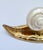 Mid Century Italian Nautical Brass and Shell Snail Art Sculpture from Gabriella Crespi, 1950s For Sale - Image 9 of 11