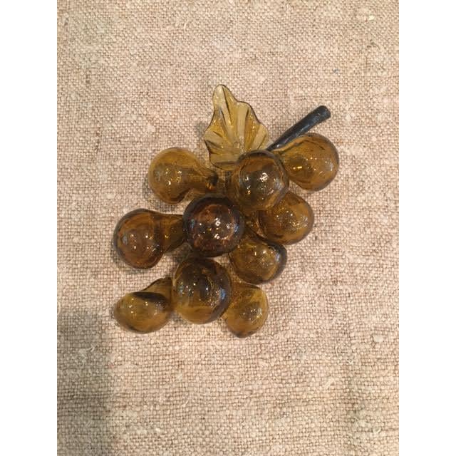 Amber Murano Style Glass Grape Cluster For Sale - Image 4 of 8