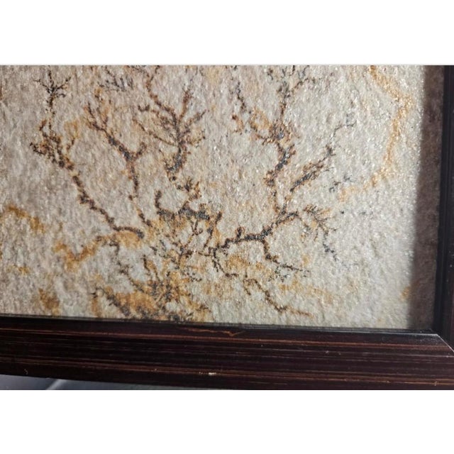 Antique Brazilian Sandstone Framed Plaque Dendrite Fossil Ferns Miniature Geologic Fern For Sale - Image 12 of 14