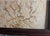 Antique Brazilian Sandstone Framed Plaque Dendrite Fossil Ferns Miniature Geologic Fern For Sale - Image 12 of 14