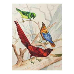 Vintage Bird Study Watercolor Painting