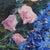 R. Aubry, Bouquet of Delphiniums and Campanulas, 1947, Oil on Canvas, Framed For Sale - Image 4 of 18