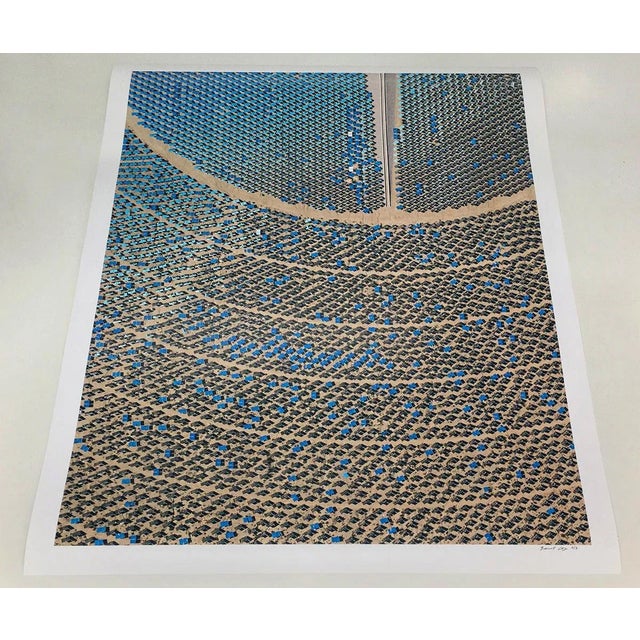 Contemporary "AV_Solar_Plants_012" Contemporary Limited Edition Fine Art Photograph by Bernhard Lang For Sale - Image 3 of 8