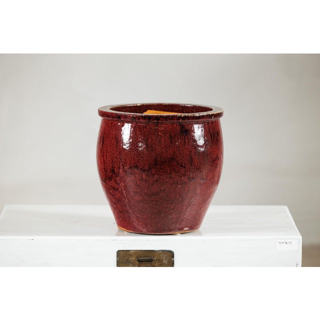"About the Item A richly glazed vintage Chinese planter featuring the deep crimson tones characteristic of oxblood, or...
