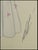Art Deco Early 20th Century Soubrette, Erté For Sale - Image 3 of 6