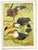 William Neave Parker, Toucan Birds, 1950s, Paper For Sale - Image 3 of 9