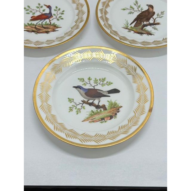 Ceramic 5, French Nast Factory "Ornithological" Porcelain Dessert Plates C. 1815 For Sale - Image 7 of 11