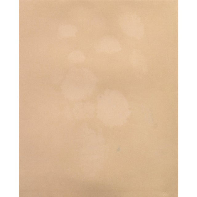 'Dog Roses and Carnations' by Angelina Lavernia, Post-Impressionist Woman Artist, Barcelona, Spain For Sale - Image 9 of 10