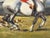 Wood Raoul Millais Hunting Painting, English Fox Hunt Scene, Grey Horse Scarlet Huntsman With Hounds, Sussex Sporting Art For Sale - Image 7 of 18