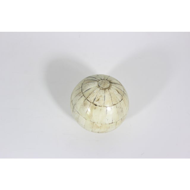 Rustic Vintage Decorative Bone Ball Sphere For Sale - Image 3 of 6