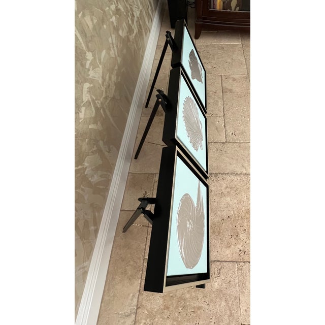 Paint Framed Mint & Silver Seashell Collection, Designed by Cheryl P. Kohloff - Set of 3 For Sale - Image 7 of 7