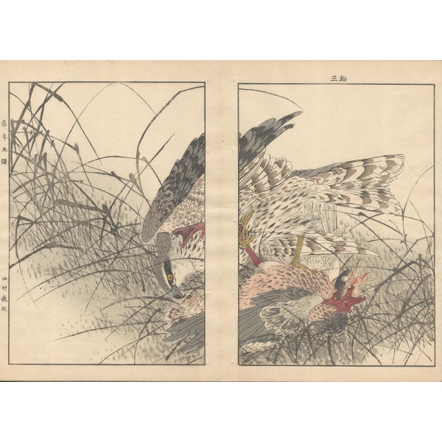 Imao Keinen, Double-Page Eurasian Goshawk Grabbing Eurasian Teal from Keinen Kacho Gafu, 1892, Woodblock Print For Sale - Image 17 of 18