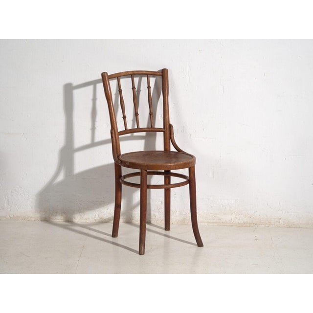 Antique Bentwood Chairs, Central Europe, 1900s, Set of 4 For Sale - Image 11 of 13