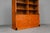 Biedermeier Style Bookcase in Birch For Sale - Image 6 of 18