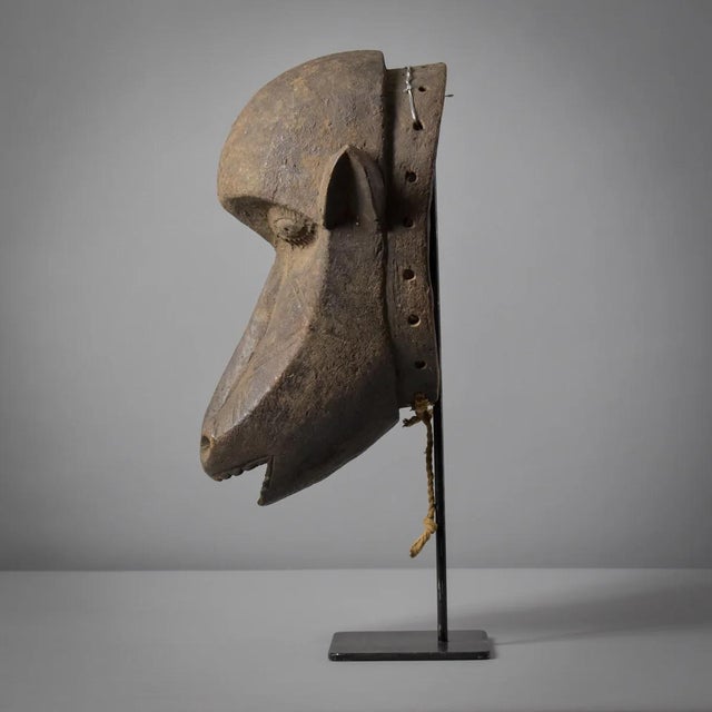 Early 20th Century Gurunsi Baboon Animalistic Mask Burkina Faso For Sale - Image 4 of 12