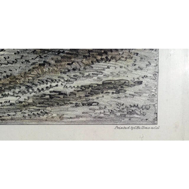 Early 19th Century Early 19th Century "Beech Trees" Landscape Aquatint, Framed For Sale - Image 5 of 6