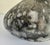 Original retail $619, stylish Revelation Modern Hand Blow Black Art Glass Pebble Vase, neutral medallion accents, showroom...