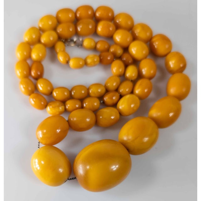 20th Century Butterscotch Egg Yolk Baltic Amber Bead Necklace For Sale In New York - Image 6 of 12