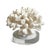 Elegant coastal decorative object featuring a unique white faux coral formation beautifully presented on a sleek, crystal-...