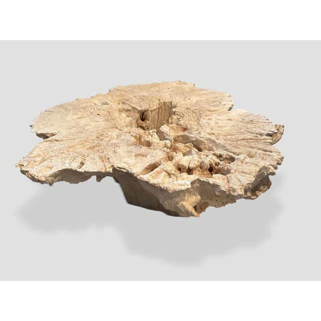 Andrianna Shamaris Century Old Erosion Teak Wood Coffee Table For Sale In New York - Image 6 of 6
