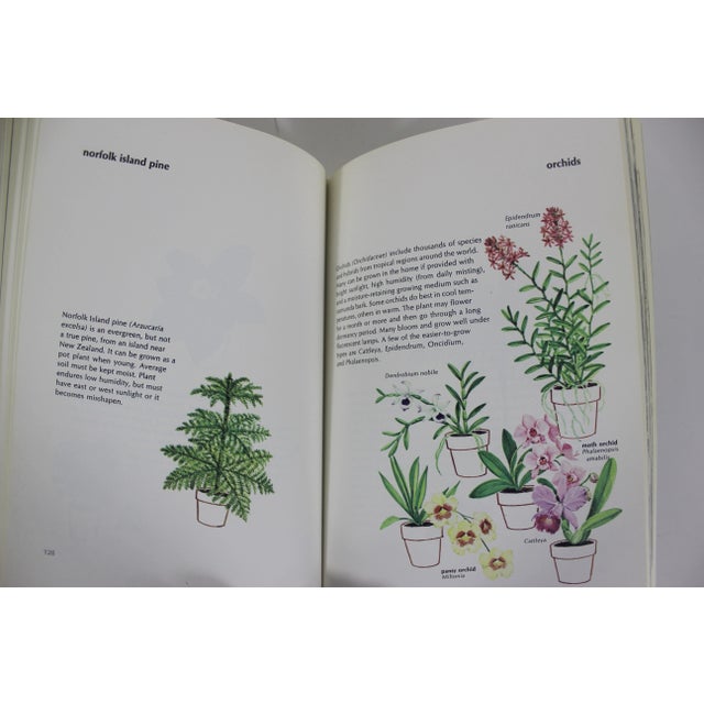 1973 the New York Times Book of House Plants by Joan Lee Faust Book For Sale - Image 6 of 9