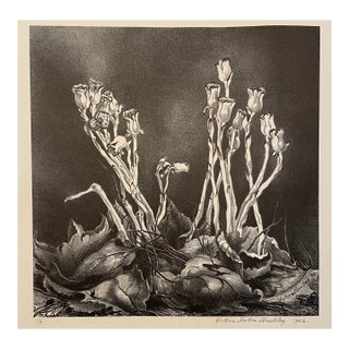 1946 Victoria Hutson Huntley Indian Pipes Botanical Lithograph For Sale