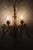 Golden Wall Lights with Pink Glass Fruit from Palwa, 1960s For Sale - Image 17 of 18
