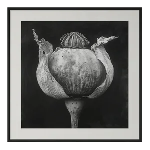 27.5' X 27.5' - 'Poppy Pod Head' #5 - Black and White Botanical Floral Photography Print / Karl Blossfeldt