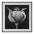'Poppy Pod Head' No. 5 - Black and White Botanical Floral Photography Print / Karl Blossfeldt For Sale