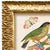 Various Artists Reproduction Vintage Birds and Butterflies Art Print (Bird#2), Framed For Sale - Image 4 of 5