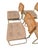 Vintage Italian Marcel Breuer Cesca Chairs and Dining Table- Set of 5 For Sale - Image 15 of 18