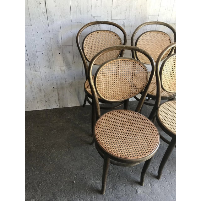 Dining Chairs in Wood Cane, Germany, 1960s, Set of 6 For Sale - Image 6 of 9