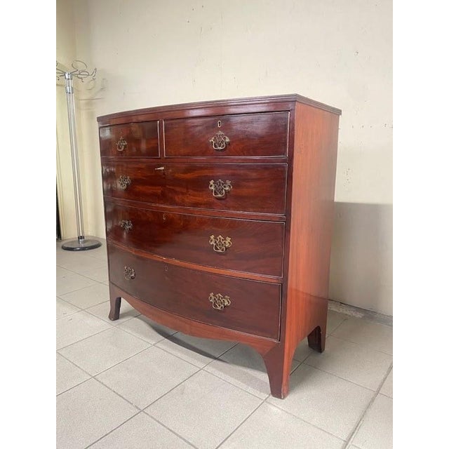 Regency-Style Chest of Drawers, Italy, 1950s For Sale - Image 10 of 15