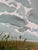 David Hockney, Track and Pylon, East Yorkshire, 2000s, Paper For Sale - Image 3 of 9