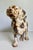 Hubley Manufacturing Company 1930s Hubley Attributed Cast Iron English Setter Dog Doorstop For Sale - Image 4 of 12