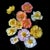 Photographic Botanical Print, “Papaver Soiree” by Artist Debi Shapiro For Sale