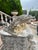 Pair of Weathered French Cement Dolphin Fountain Spouts, Circa 1970s For Sale In Dallas - Image 6 of 16