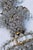 Large French Wall Sconces in Brass and Crystal, 1940s, Set of 2 For Sale - Image 12 of 14