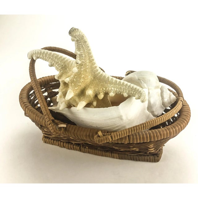 Vintage Basket With Genuine Sea Shell & Starfish For Sale In Portland, ME - Image 6 of 6
