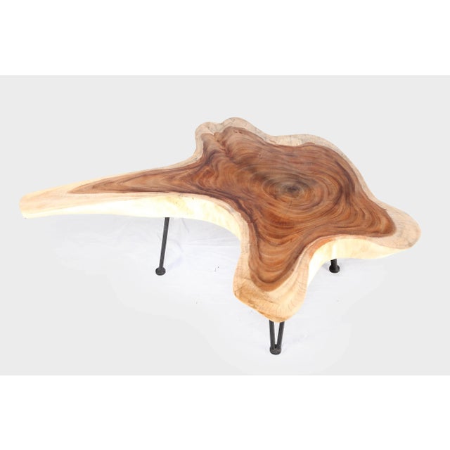 This one slab living edge coffee table is hand cut, sanded, and polished to show beautiful waving circular wood grains and...