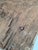 Blue Antique Asian Wooden Relief, 1800s For Sale - Image 8 of 13