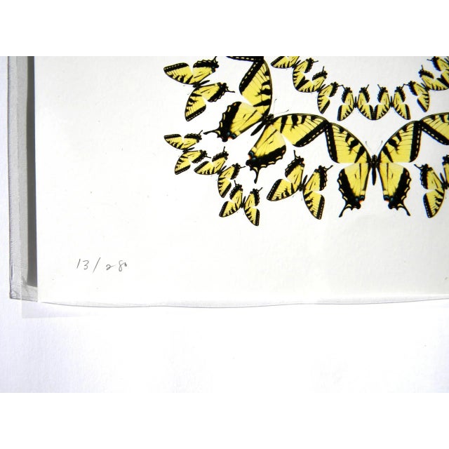 Jean Orlebeke Original Geometric Yellow Butterflies Print For Sale - Image 9 of 11