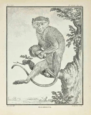 Louis Simon Lempereur, MalBrouck, Etching, 1771